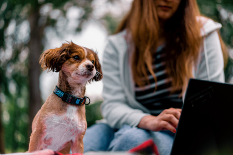 Pet tech in Italia 2026: collari GPS, telemedicina veterinaria e app essenziali per ogni tipo di proprietario